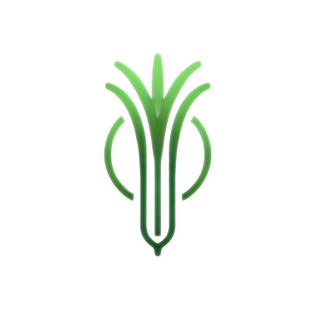 Leek Tech Solutions